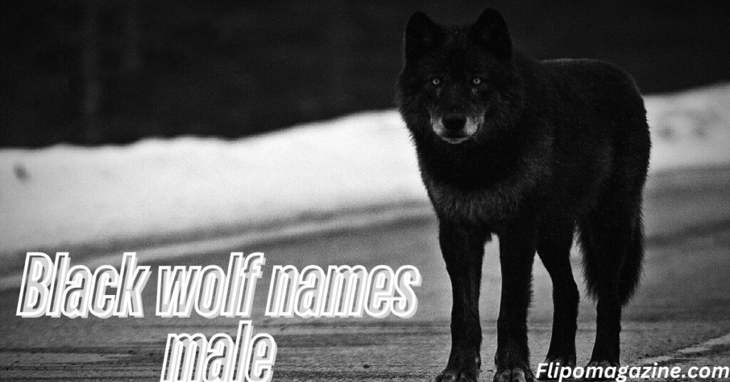 Black wolf names male