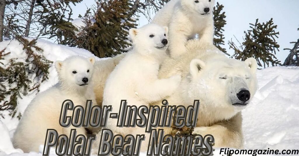 Color-Inspired Polar Bear Names