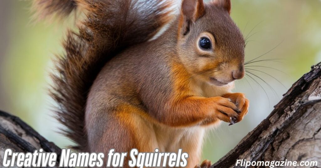 Creative Names for Squirrels