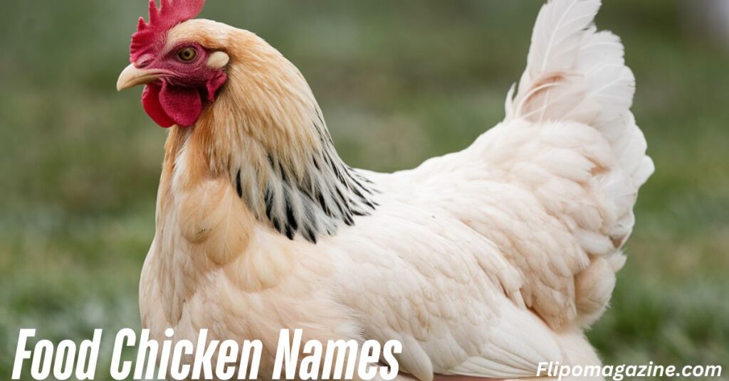 Food Chicken Names