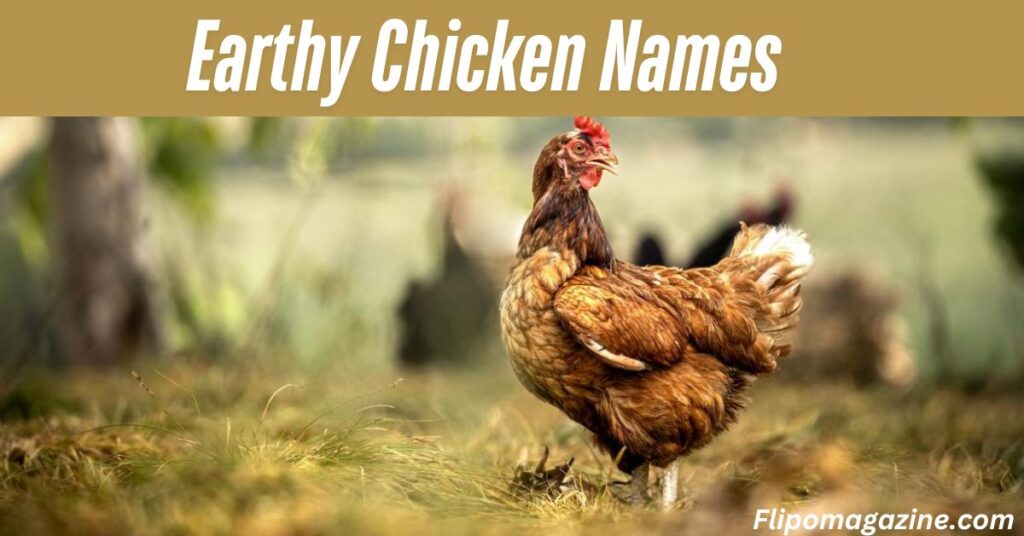 Earthy Chicken Names