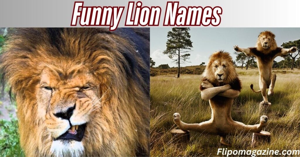 Funny Lion Names