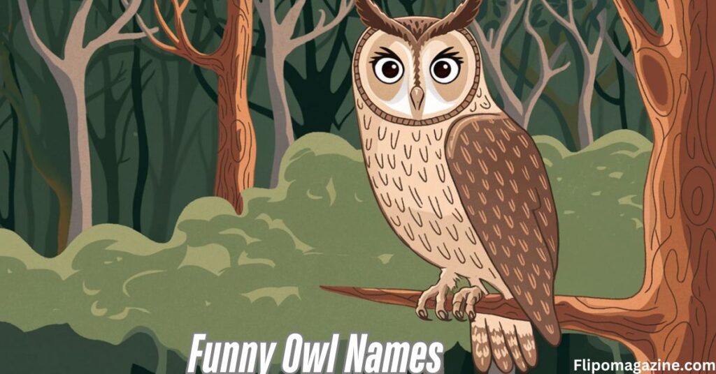 Funny Owl Names