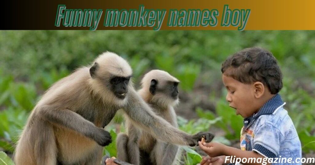 Funny monkey names boy