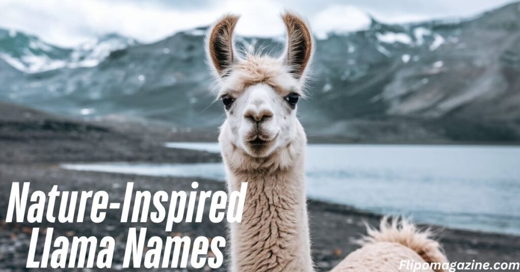 Nature-Inspired Llama Names