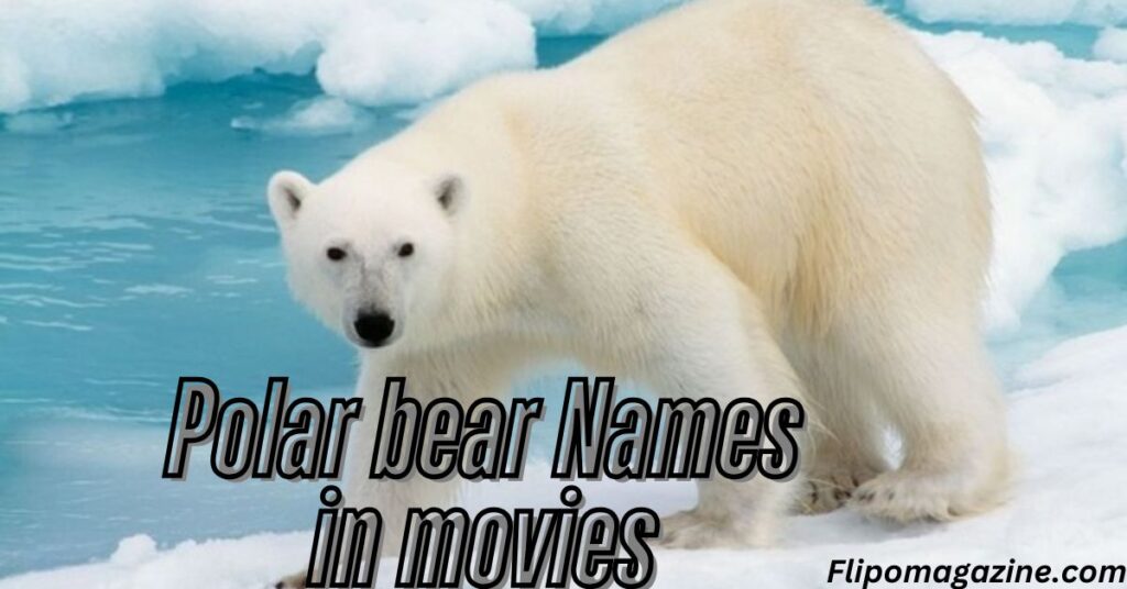 Polar bear Names in movies