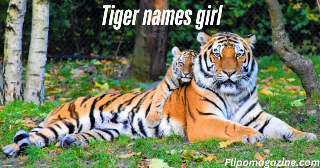 Tiger names girl