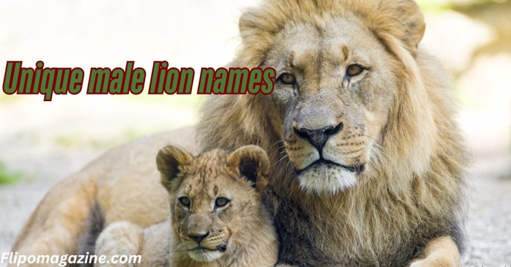 Unique male lion names