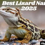 260+ Best Lizard Names 2025 Funny, Fantasy, and More!