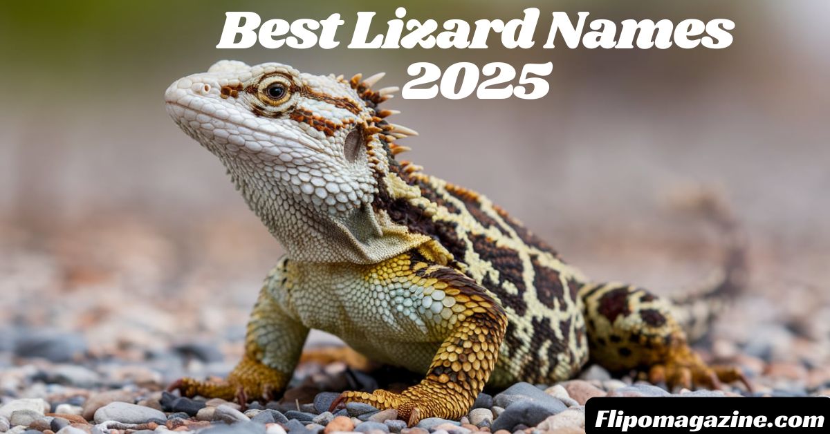 260+ Best Lizard Names 2025 Funny, Fantasy, and More!