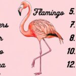 320+ Best Flamingo Names Cute, Funny, and Unique Ideas for Your Feathered Friend