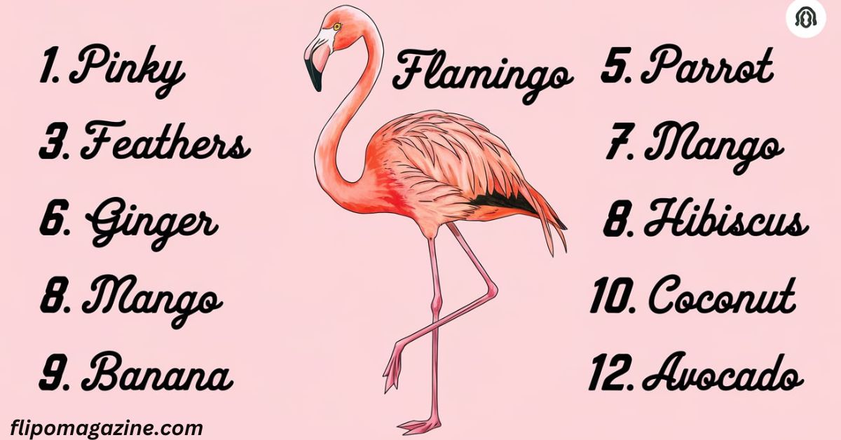 320+ Best Flamingo Names Cute, Funny, and Unique Ideas for Your Feathered Friend