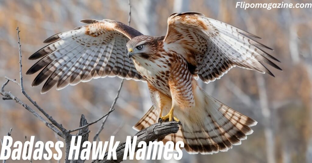 Badass Hawk Names