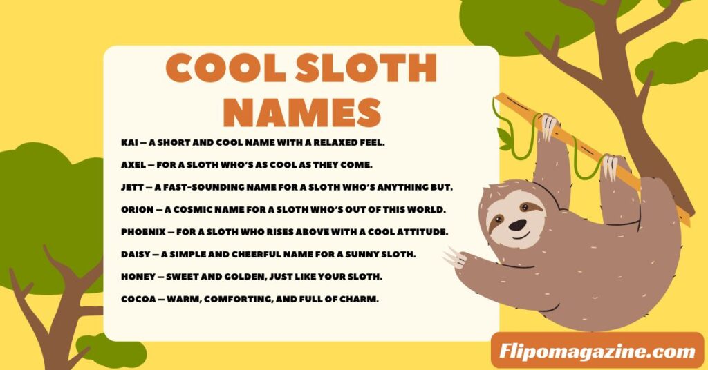 Cool Sloth Names