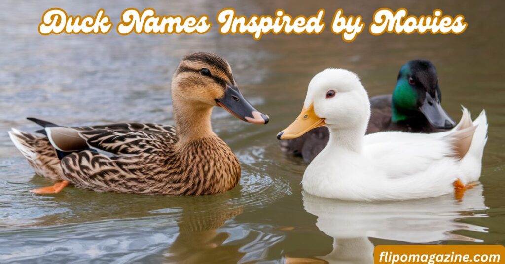 Duck Names Inspired by Movies