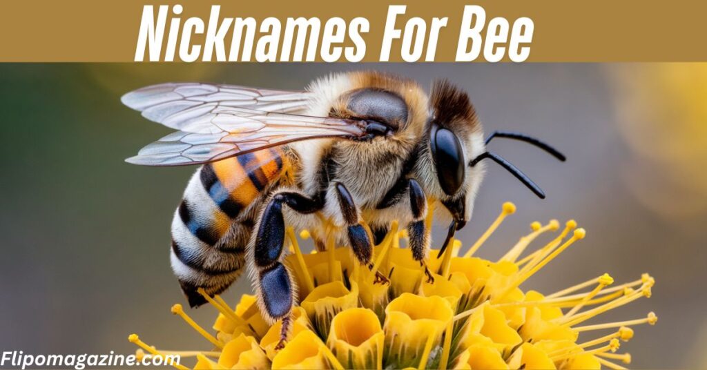 Nicknames For Bee