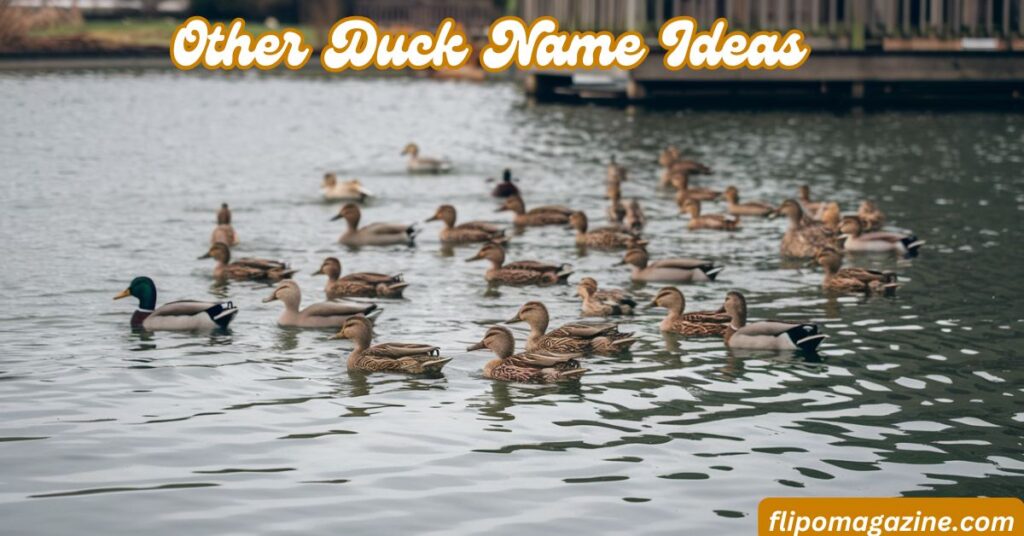 Other Duck Name Ideas