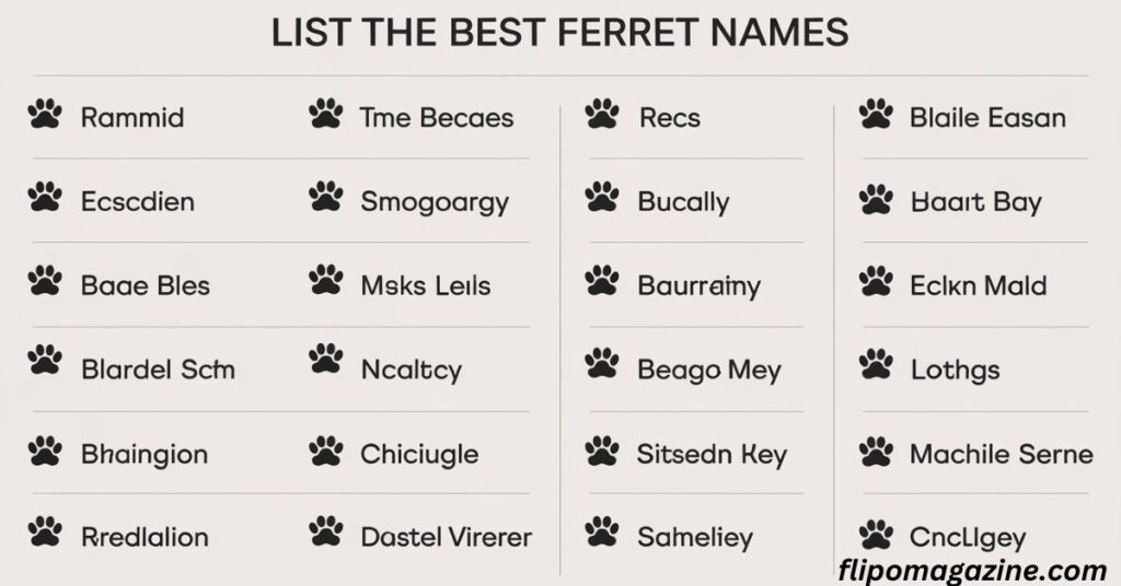 Pet Ferret Names