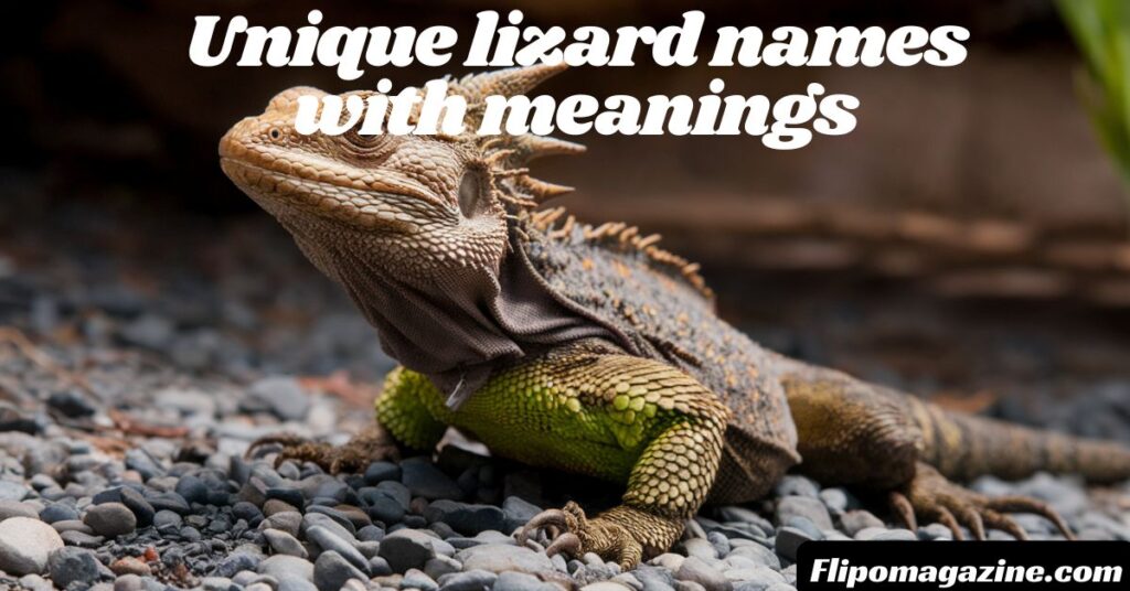 Unique lizard names with meanings