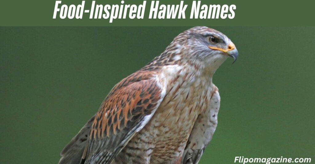 Food-Inspired Hawk Names